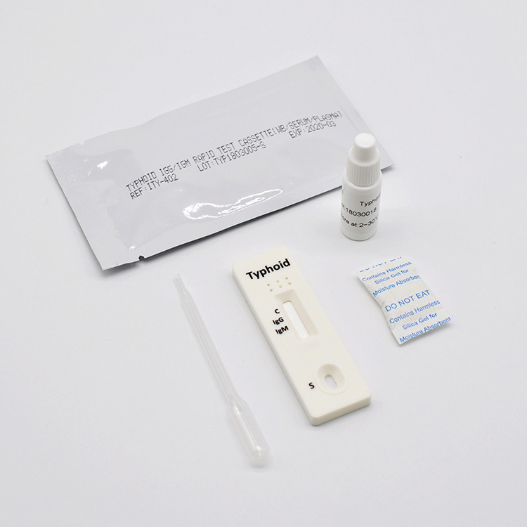 Medicinsk brug Professionel Tyfus Igg Igm Rapid Test